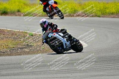 media/May-10-2024-2WTD (Fri) [[c88d7990af]]/Group B/Session 3-Turn 4 and 6/